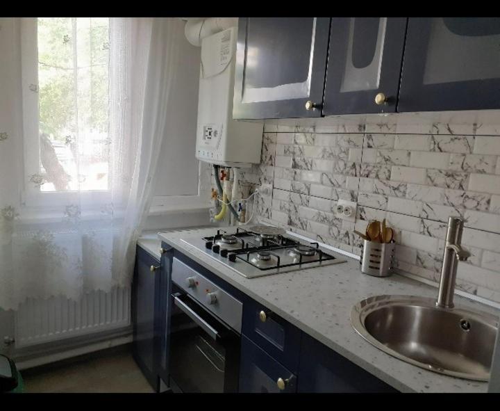 Silene Studio Craiova Bagian luar foto