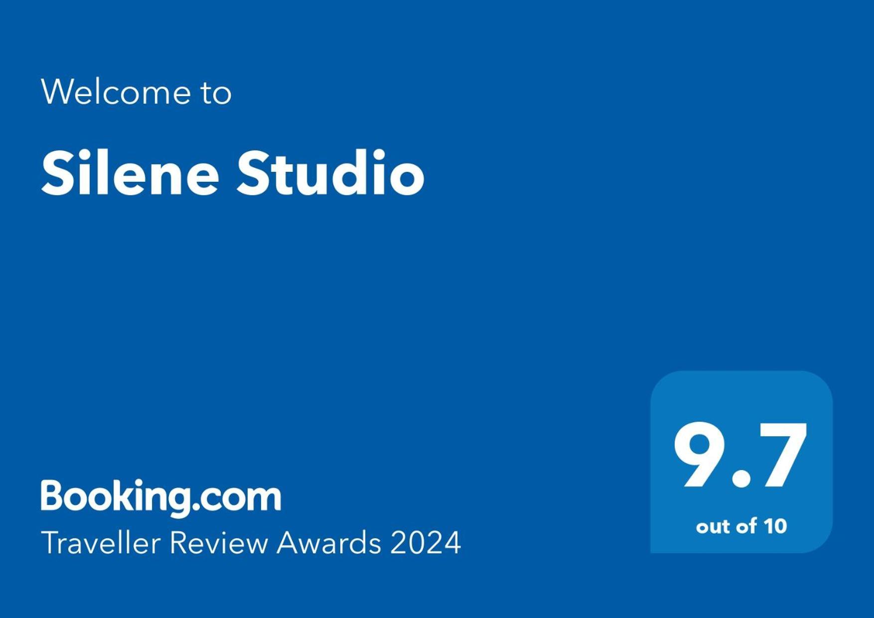 Silene Studio Craiova Bagian luar foto