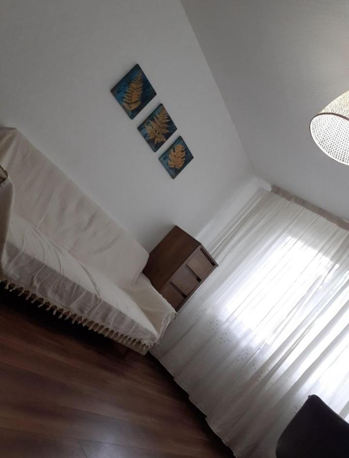 Silene Studio Craiova Bagian luar foto